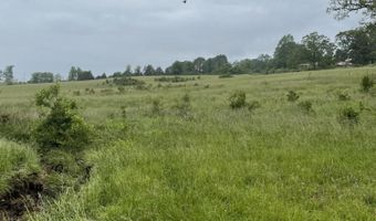 1007 S Jefferson 3, Ava, MO 65608