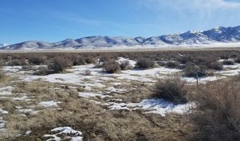 00827023 W Star Peak Rd, Imlay, NV 89418