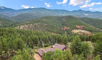 901 CR 64, Bailey, CO 80421