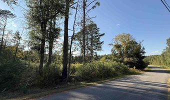 1 46 Acres 2nd Ave, Altoona, AL 35952