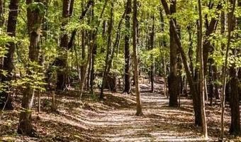 220 Blue Butterfly Dr, Angier, NC 27501