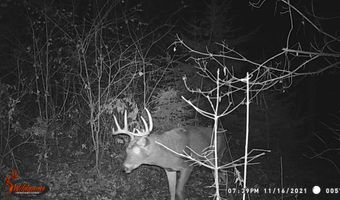 8752 HWY A, Almond, WI 54909