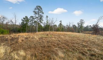 868 County Road 2920, Alba, TX 75410