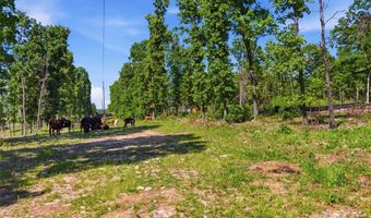 210 County Road 320, Alton, MO 65606