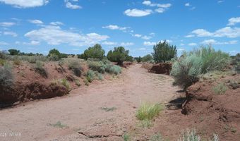 Tbd Ranch of the White Mountains, Concho, AZ 85924