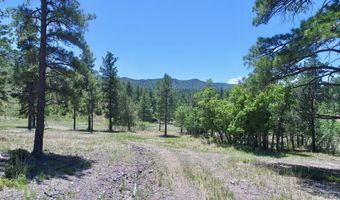 28111 County Rd 41.4, Aguilar, CO 81020