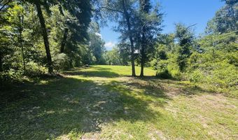 1042 Lake Cadeli Rd, Bartow, GA 30413
