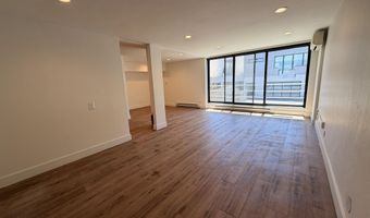 601 E Hopkins Ave 202, Aspen, CO 81611