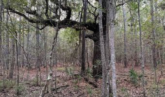 Lower Bay Road, Bay St. Louis, MS 39520
