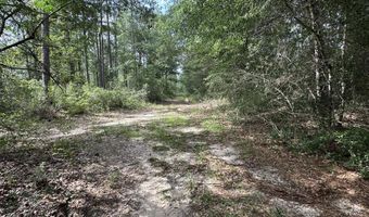 40 Ac +/- Old River Rd, Baker, FL 32531