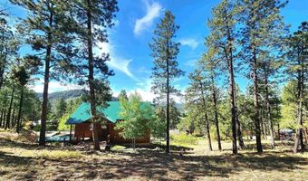1043 Deer Ridge Dr, Bayfield, CO 81122