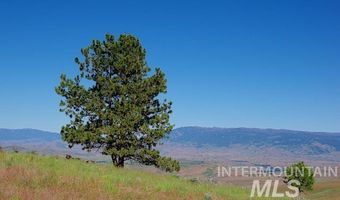 Tbd North Grays Creek Road, Indian Valley, ID 83632