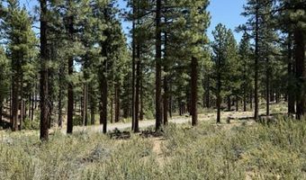 195 Walton Toll Rd Lot 210, Carson City, NV 89705