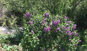 Tract 13 Luis O Torres Rd, Arroyo Seco, NM 87514
