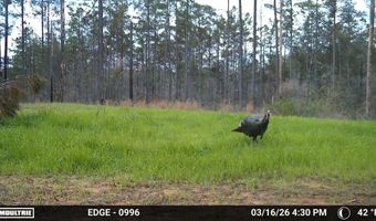 Hwy 9, Bruce, MS 38915