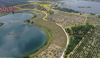 1115 Basket Lake Rd, Avon Park, FL 33825