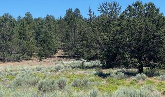 5879 W Langell Valley Rd, Bonanza, OR 97623