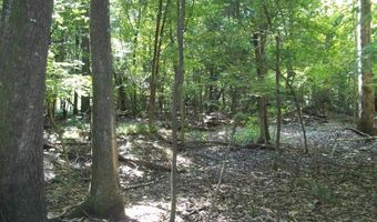 2200 Gillionville Rd, Albany, GA 31707