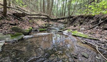 Stewart Road, Addison, NY 14801