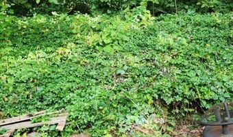 48 E Shore Dr, Alloway, NJ 07462