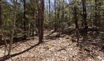Skyline Ridge Rd. lot 7, Becket, MA 01223