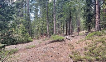 37 Iroquois Dr, Camp Connell, CA 95223