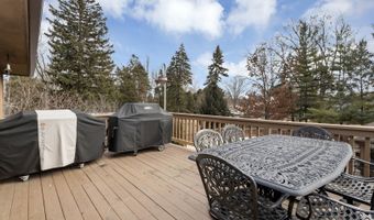 1415 W Hawthorne St, Arlington Heights, IL 60005