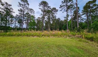 2986 Old Buckhead Rd, Branchville, SC 29432