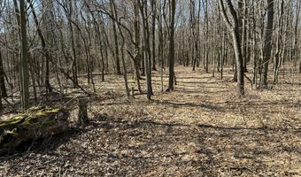 5725 Whitneyville Ave SE, Alto, MI 49302