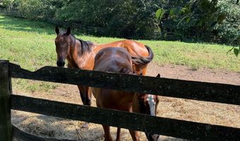 14105 LEE Hwy, Amissville, VA 20106