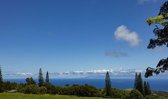 WAIOLU PL, Hawi, HI 96719