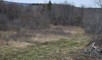 295 Shellstone Rd, Amsterdam, NY 12010