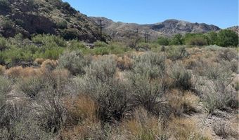 Carp Road, Caliente, NV 89008