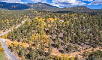 103 Gross Rd, Bailey, CO 80421