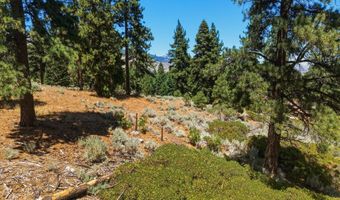 490 Nature's Edge Rd, Gardnerville, NV 89460