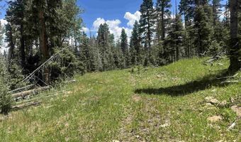 Lot 22 Hinz Drive, Angel Fire, NM 87710