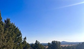 14 County Road 8249, Concho, AZ 85924