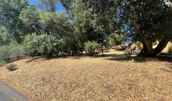 295 Mary Belle Way, Angels Camp, CA 95222