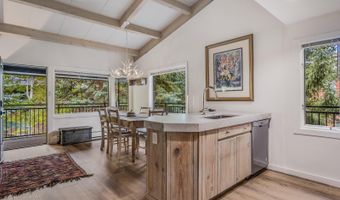 731 S Mill St 3A, Aspen, CO 81611