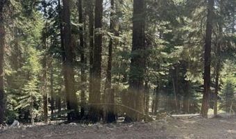 Ozite Rd, Alturas, CA 96101