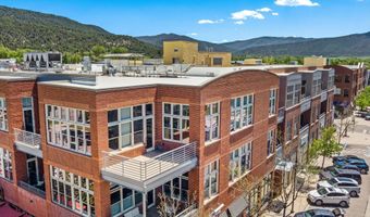 231 Robinson St 312, Basalt, CO 81621