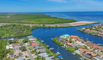 815 GREENVIEW Dr, Apollo Beach, FL 33572