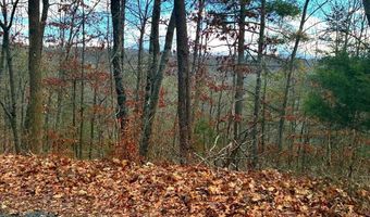 SPITZ Lane, Basye, VA 22810