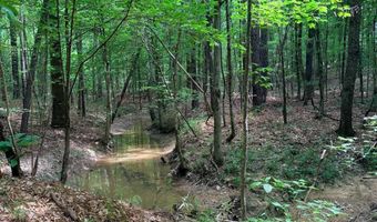 Low Water LN SW, Brookhaven, MS 39601
