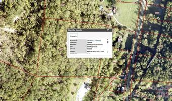 99999 Paint Fork Rd, Barnardsville, NC 28709