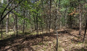 S Badger Lane lot 39, Arkdale, WI 54613