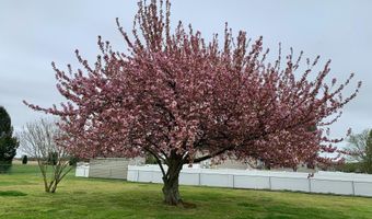 200 LEXINGTON MILL Rd, Magnolia, DE 19962