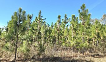 1228 River Rd, Ariton, AL 36311