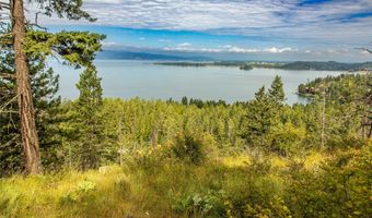 338 Flathead Lodge Rd, Bigfork, MT 59911