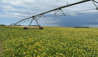 153 Acres Rock County, Bassett, NE 68714